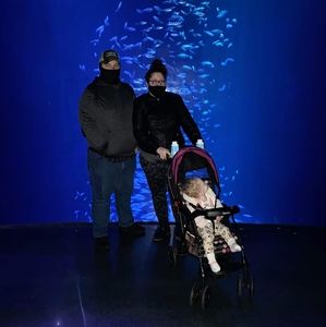 Meet your Posher, James